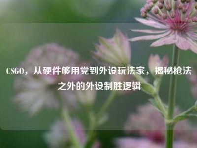 CSGO，从硬件够用党到外设玩法家，揭秘枪法之外的外设制胜逻辑