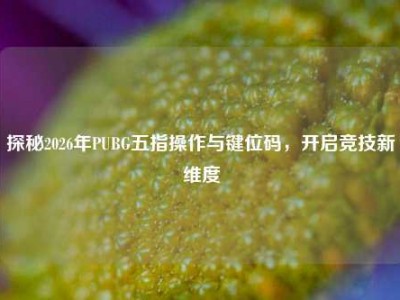 探秘2026年PUBG五指操作与键位码，开启竞技新维度