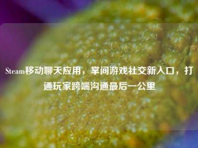 Steam移动聊天应用，掌间游戏社交新入口，打通玩家跨端沟通最后一公里