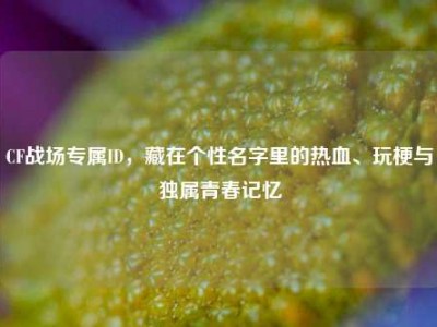 CF战场专属ID，藏在个性名字里的热血、玩梗与独属青春记忆