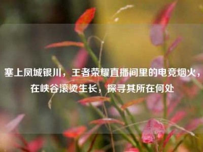 塞上凤城银川，王者荣耀直播间里的电竞烟火，在峡谷滚烫生长，探寻其所在何处