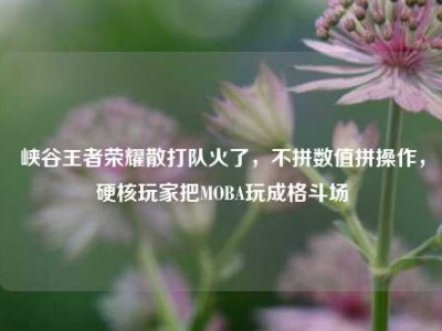 峡谷王者荣耀散打队火了，不拼数值拼操作，硬核玩家把MOBA玩成格斗场