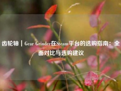 齿轮轴｜Gear Grinder在Steam平台的选购指南：全面对比与选购建议
