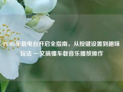 PUBG车载电台开启全指南，从按键设置到趣味玩法 一文搞懂车载音乐播放操作