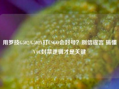 用罗技G502/G502X打CSGO会封号？别信谣言 搞懂VAC封禁逻辑才是关键