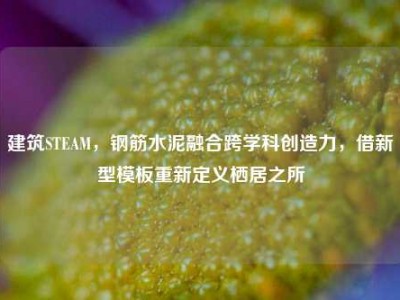 建筑STEAM，钢筋水泥融合跨学科创造力，借新型模板重新定义栖居之所