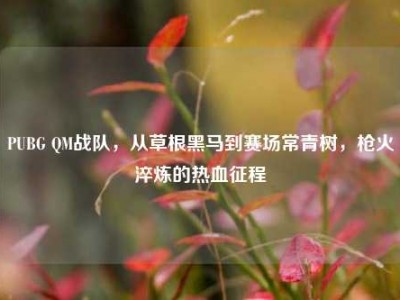 PUBG QM战队，从草根黑马到赛场常青树，枪火淬炼的热血征程