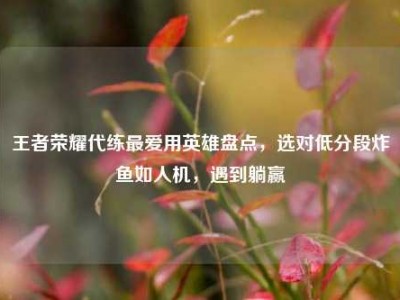 王者荣耀代练最爱用英雄盘点，选对低分段炸鱼如人机，遇到躺赢