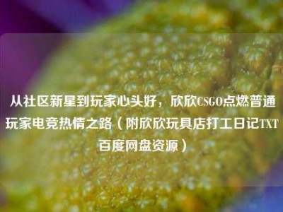 从社区新星到玩家心头好，欣欣CSGO点燃普通玩家电竞热情之路（附欣欣玩具店打工日记TXT百度网盘资源）