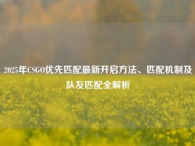 2025年CSGO优先匹配最新开启方法、匹配机制及队友匹配全解析
