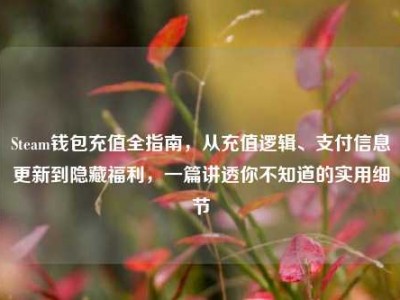 Steam钱包充值全指南，从充值逻辑、支付信息更新到隐藏福利，一篇讲透你不知道的实用细节