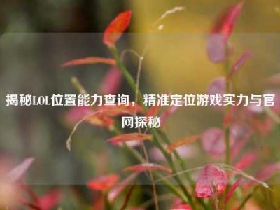 揭秘LOL位置能力查询，精准定位游戏实力与官网探秘