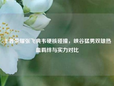王者荣耀张飞典韦硬核碰撞，峡谷猛男双雄热血羁绊与实力对比