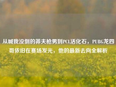 从喊我没倒的莽夫枪男到PCL活化石，PUBG龙四哥依旧在赛场发光，他的最新去向全解析