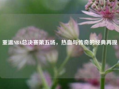重温NBA总决赛第五场，热血与传奇的经典再现