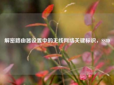 解密路由器设置中的无线网络关键标识，SSID