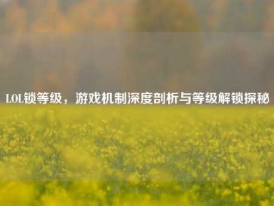 LOL锁等级，游戏机制深度剖析与等级解锁探秘
