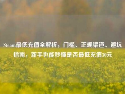 Steam最低充值全解析，门槛、正规渠道、避坑指南，新手也能秒懂是否最低充值30元