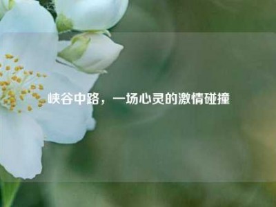峡谷中路，一场心灵的激情碰撞