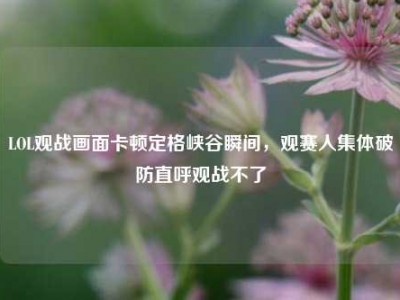 LOL观战画面卡顿定格峡谷瞬间，观赛人集体破防直呼观战不了