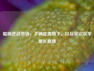 聪明逆战市场，不确定周期下，以反常识筑牢增长底牌