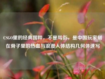 CSGO里的经典国粹，不是骂街，是中国玩家刻在骨子里的热血与浪漫人体结构几何体速写