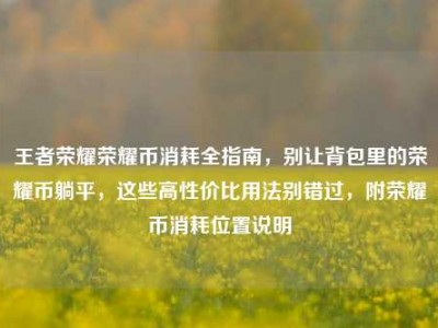王者荣耀荣耀币消耗全指南，别让背包里的荣耀币躺平，这些高性价比用法别错过，附荣耀币消耗位置说明