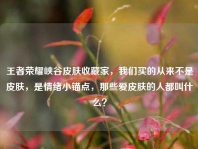 王者荣耀峡谷皮肤收藏家，我们买的从来不是皮肤，是情绪小锚点，那些爱皮肤的人都叫什么？