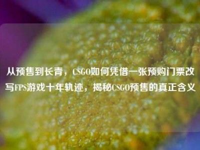 从预售到长青，CSGO如何凭借一张预购门票改写FPS游戏十年轨迹，揭秘CSGO预售的真正含义
