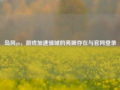 岛风go，游戏加速领域的亮眼存在与官网登录