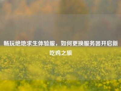 畅玩绝地求生体验服，如何更换服务器开启新吃鸡之旅