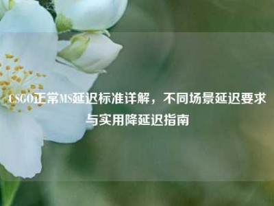 CSGO正常MS延迟标准详解，不同场景延迟要求与实用降延迟指南