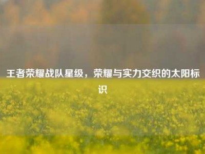 王者荣耀战队星级，荣耀与实力交织的太阳标识