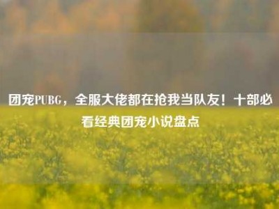 团宠PUBG，全服大佬都在抢我当队友！十部必看经典团宠小说盘点