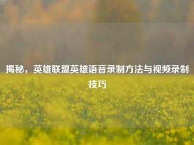 揭秘，英雄联盟英雄语音录制方法与视频录制技巧