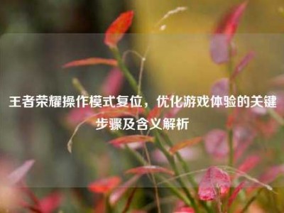 王者荣耀操作模式复位，优化游戏体验的关键步骤及含义解析