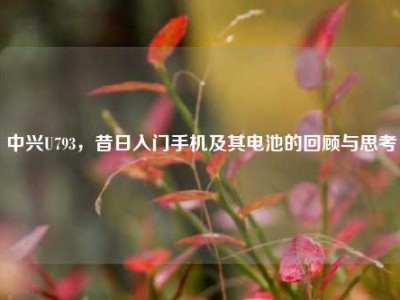 中兴U793，昔日入门手机及其电池的回顾与思考