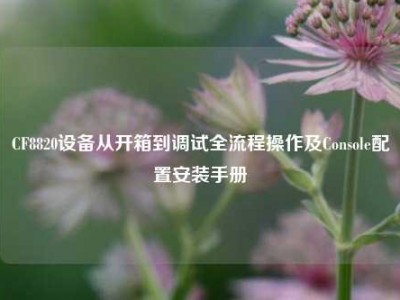 CF8820设备从开箱到调试全流程操作及Console配置安装手册