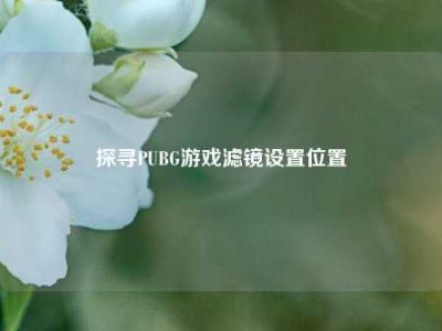 探寻PUBG游戏滤镜设置位置