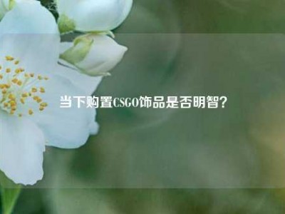 当下购置CSGO饰品是否明智？