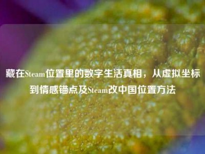 藏在Steam位置里的数字生活真相，从虚拟坐标到情感锚点及Steam改中国位置方法