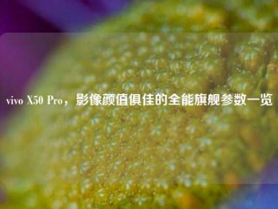 vivo X50 Pro，影像颜值俱佳的全能旗舰参数一览