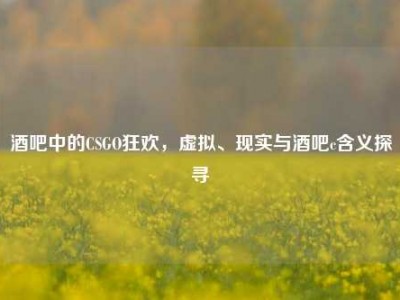 酒吧中的CSGO狂欢，虚拟、现实与酒吧c含义探寻