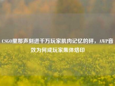 CSGO里那声刻进千万玩家肌肉记忆的砰，AWP音效为何成玩家集体烙印