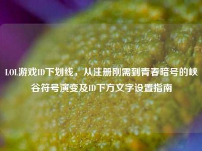 LOL游戏ID下划线，从注册刚需到青春暗号的峡谷符号演变及ID下方文字设置指南