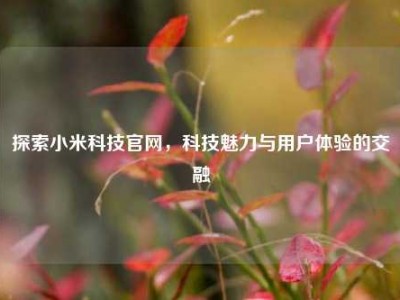 探索小米科技官网，科技魅力与用户体验的交融