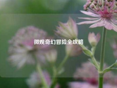 微观奇幻冒险全攻略