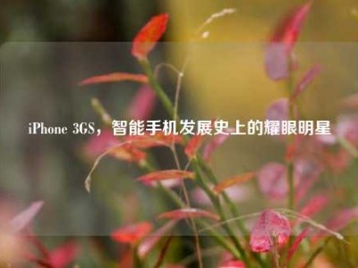 iPhone 3GS，智能手机发展史上的耀眼明星