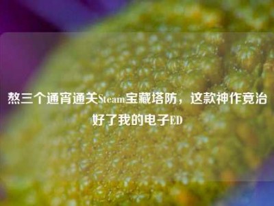 熬三个通宵通关Steam宝藏塔防，这款神作竟治好了我的电子ED