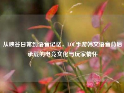 从峡谷日常到语音记忆，LOL手游韩文语音背后承载的电竞文化与玩家情怀
